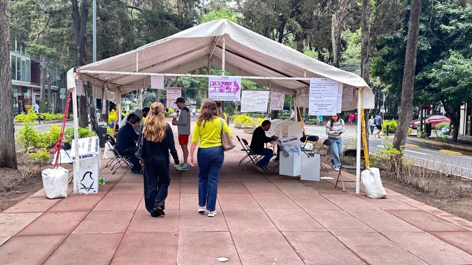 La Barra Mexicana Colegio de Abogados dice que es alarmante que con una participación de 13% se haya dado un paso tan trascendente para la nueva integración del poder del Estado.
