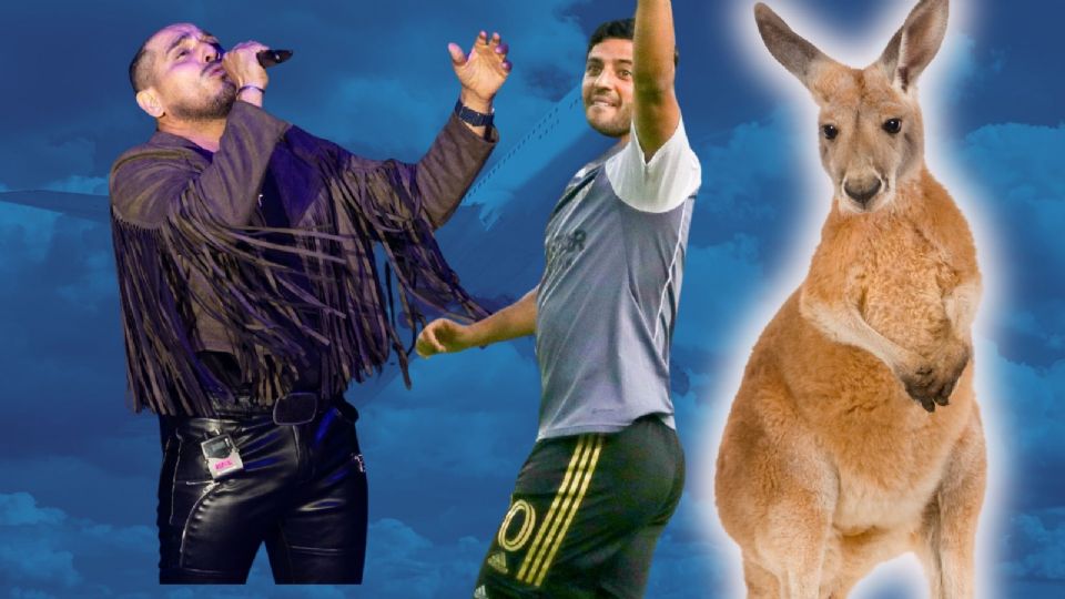 ¿Te perdiste las tendencias de la semana?