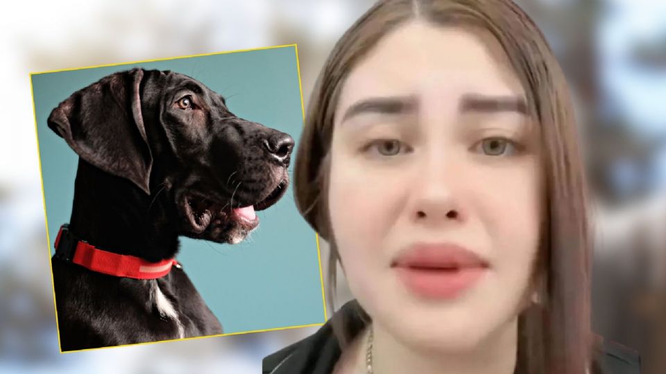 Naomi Figueroa fue dada de baja del Gobierno de Guadalajara desde el pasado 31 de mayo.