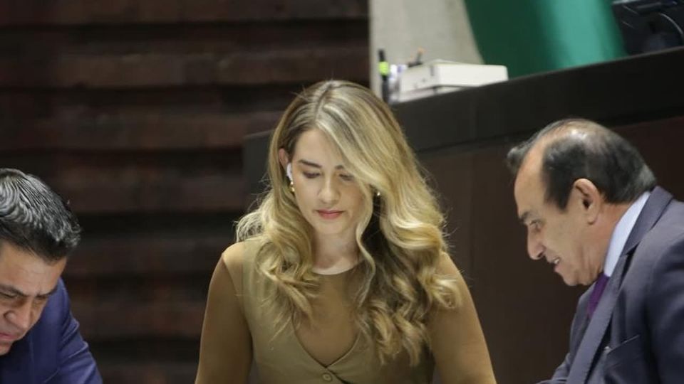 La congresista solicitó que la Comisión Permanente del Congreso respalde el exhorto hecho al Ejecutivo Federal.