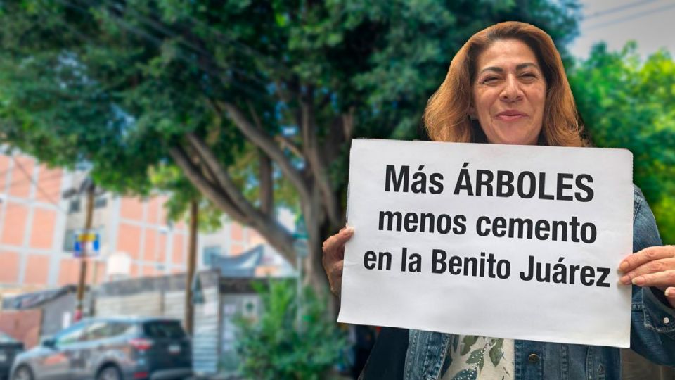 Árbol Laureano en la alcaldía Benito Juárez.