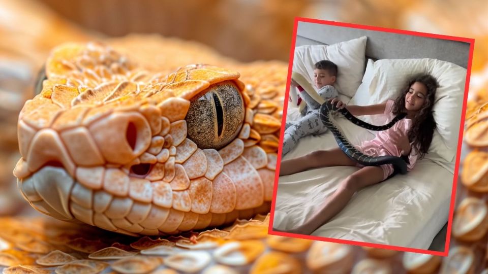 Niña de 6 años se hace viral por dormir con serpientes gigantes | VIDEO