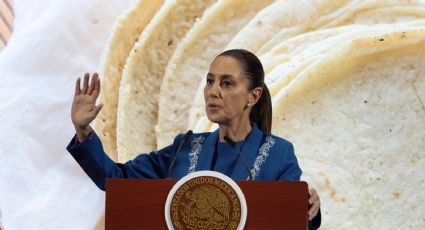 ¿Cuál es el plan de Sheinbaum para evitar aumento a la tortilla? (VIDEO)