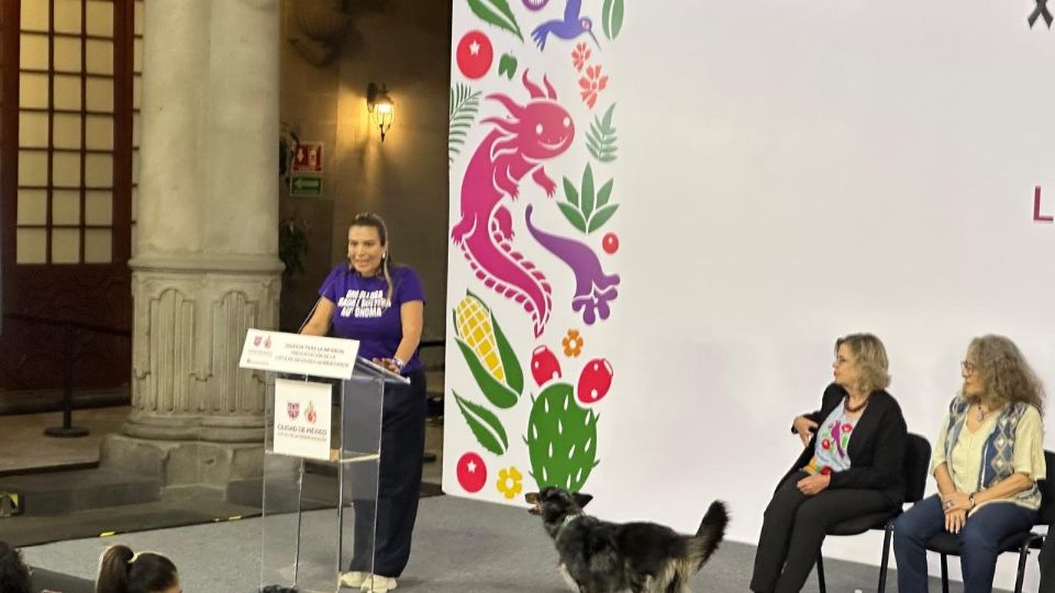 Hizo un llamado a las autoridades que en estos casos de postulantes cuestionados no asuman el cargo.