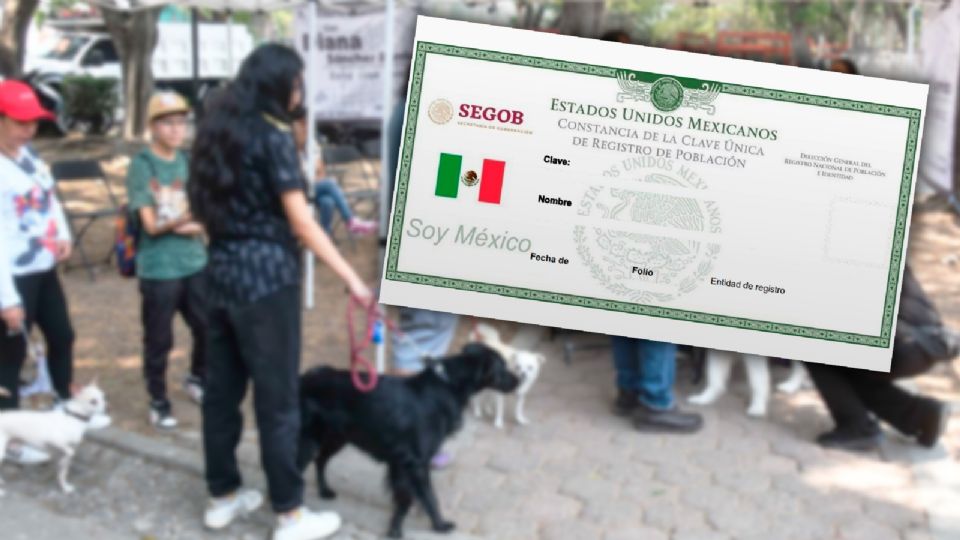 El nuevo registro de mascotas pretende ofrecer un control más preciso sobre los animales domésticos.