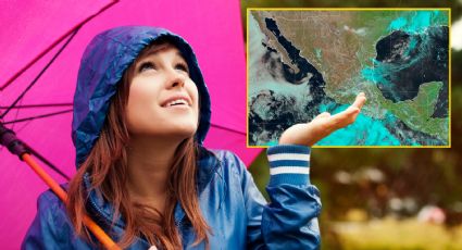 Se forma tormenta tropical 'Dalila' en el océano pacífico; sigue su trayectoria