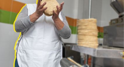 'El precio de la tortilla ha tenido la escalada más alta históricamente': Homero López