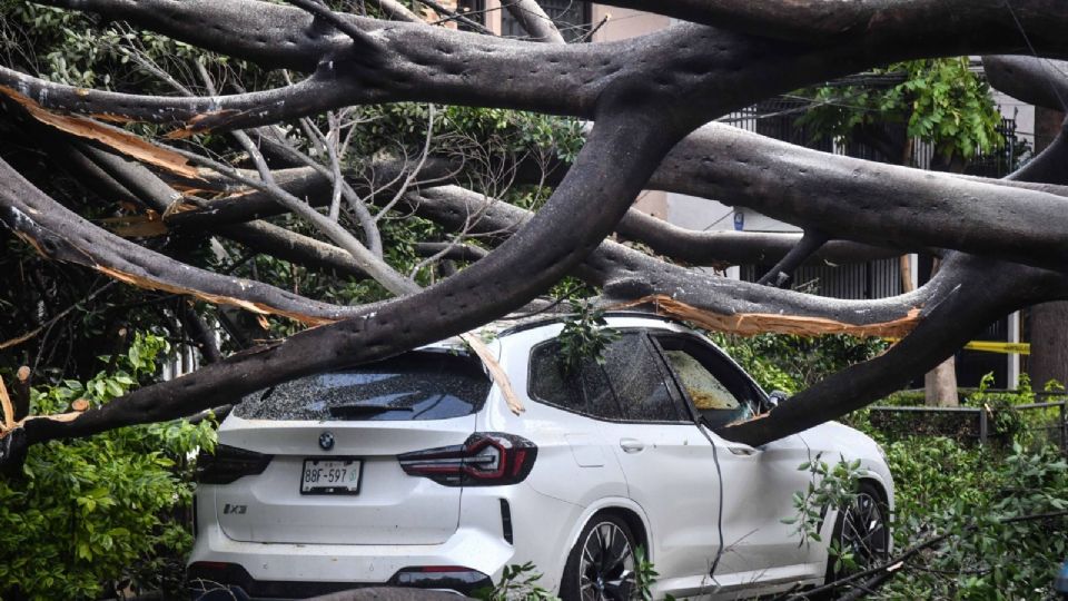 Se recomienda a la ciudadanía mantenlas libres de basura u objetos que las obstruyan las coladeras y no verter grasas en el drenaje.

