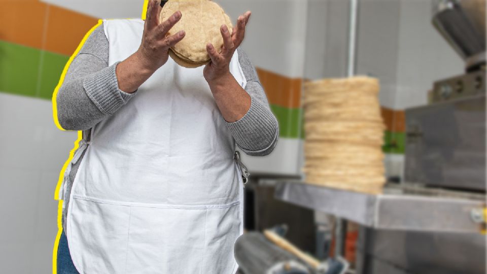 Uno de los principales problemas que impiden una regulación adecuada del sector es la informalidad.