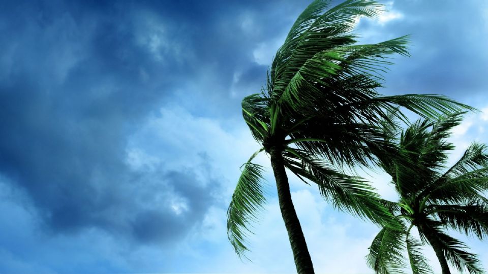 La tormenta tropical Dalila mantiene la alerta amarilla por sus efectos.