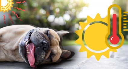 Canícula: ¿Cuáles serán los estados más afectados? Te dejamos la lista completa