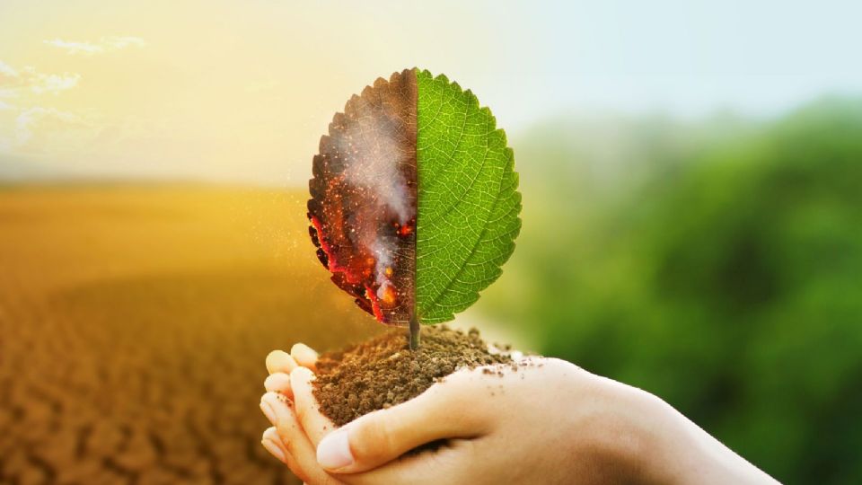 Tiene como objetivo fortalecer la organización colectiva.