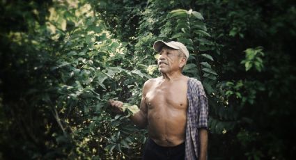 Migrantes mayas de Yucatán mueren en Estados Unidos