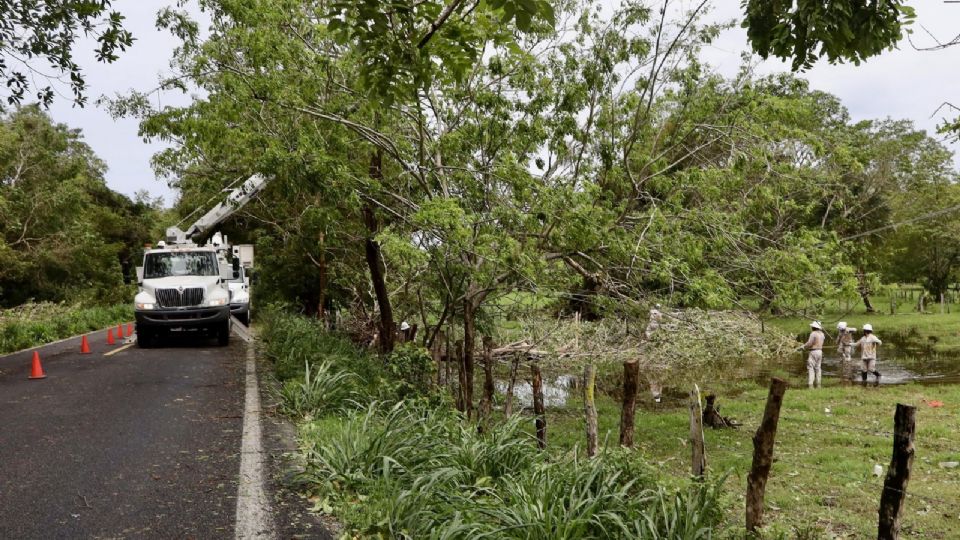 Daños a infraestructura de electricidad, caminos, salud, viviendas y comercios, se registraron en la costa de Oaxaca.