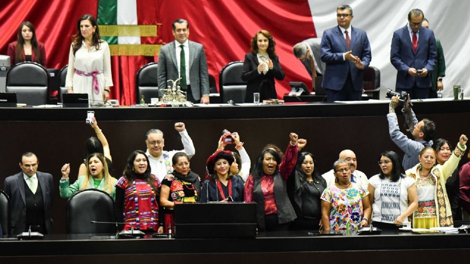 Solicitan que la norma en cuestión establezca criterios de pluriculturalidad para los sujetos obligados a cumplirla.