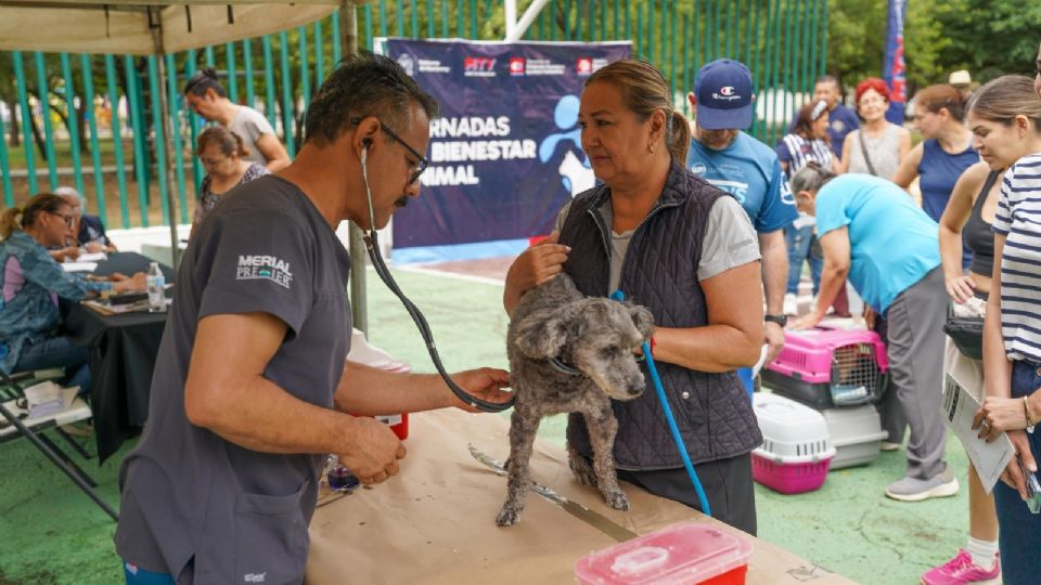 Durante la Feria del Bienestar Animal, familias accedieron a servicios gratuitos.
