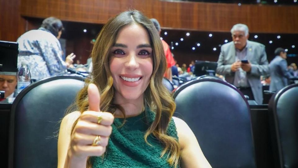 Diana Karina Barreras, diputada federal del Partido del Trabajo.