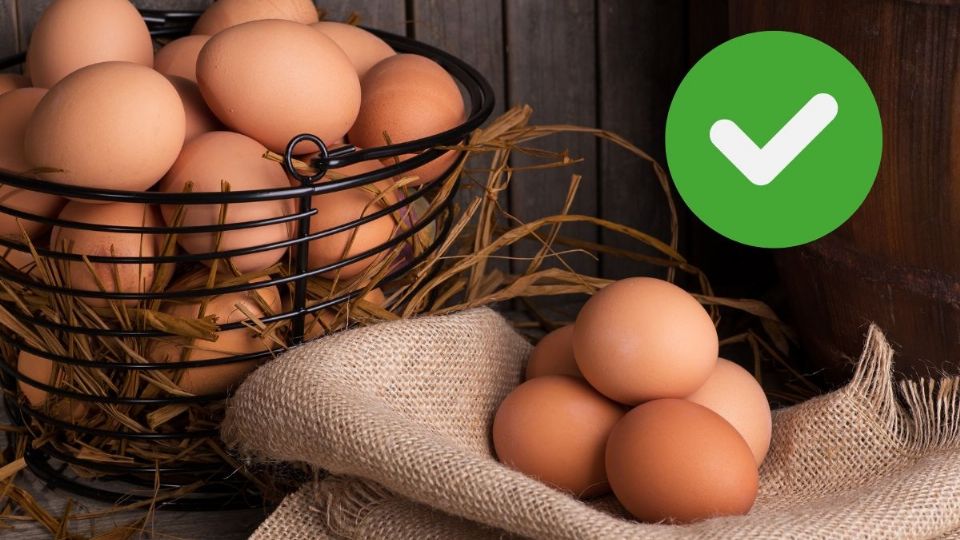 Así puedes saber si un huevo está en buen estado antes de comerlo