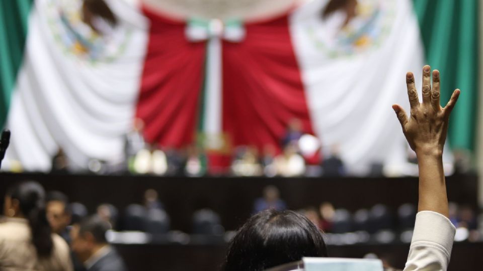 El proyecto contempla el establecimiento de un Portal Ciudadano Único de Trámites y Servicios, a fin de realizar trámites en línea.