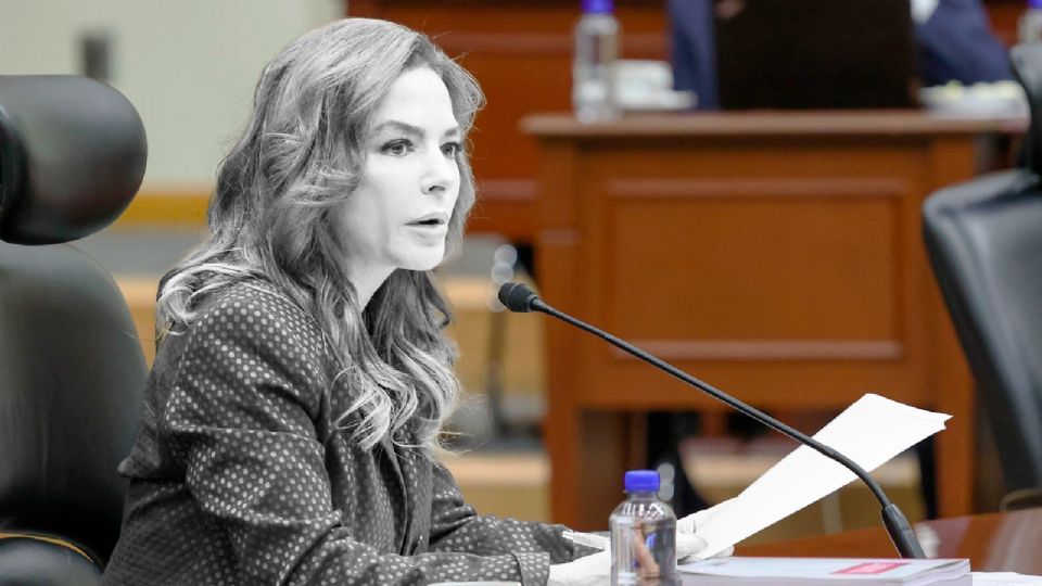 Se establecieron 22 causales distintas para identificar violencia política en razón de género.