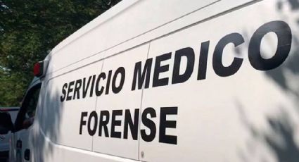 Confunden a cazador con un venado en Tizimín