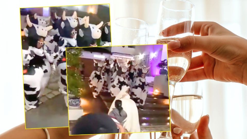 Damas de honor disfrazadas de vaca sorprenden en boda y se vuelven virales en redes
