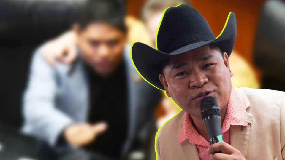 El cantante fue designado como suplente del senador Luis Armando Melgar Bravo, del Partido Verde.