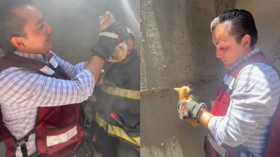 Manuel Guerra Cavazos descendió por el drenaje para rescatar al gatito, que fue trasladado a una clínica municipal para su recuperación.