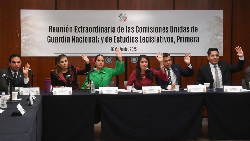 El dictamen pasó al pleno.