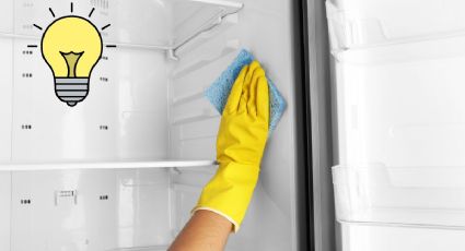 Así debes de limpiar tu refrigerador para tenerlo impecable por más tiempo
