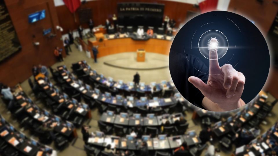 Las autoridades encargadas de seguridad y procuración de justicia tendrán acceso a esta base para acelerar las investigaciones.