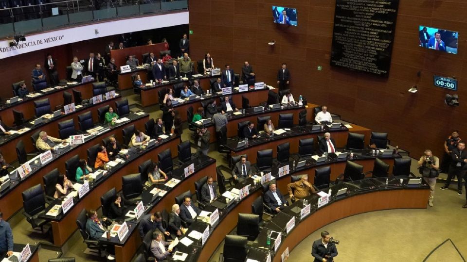 El senador por el PRI, Néstor Camarillo, advirtió que se están dando facultades a la Guardia Nacional sin controles adecuados.