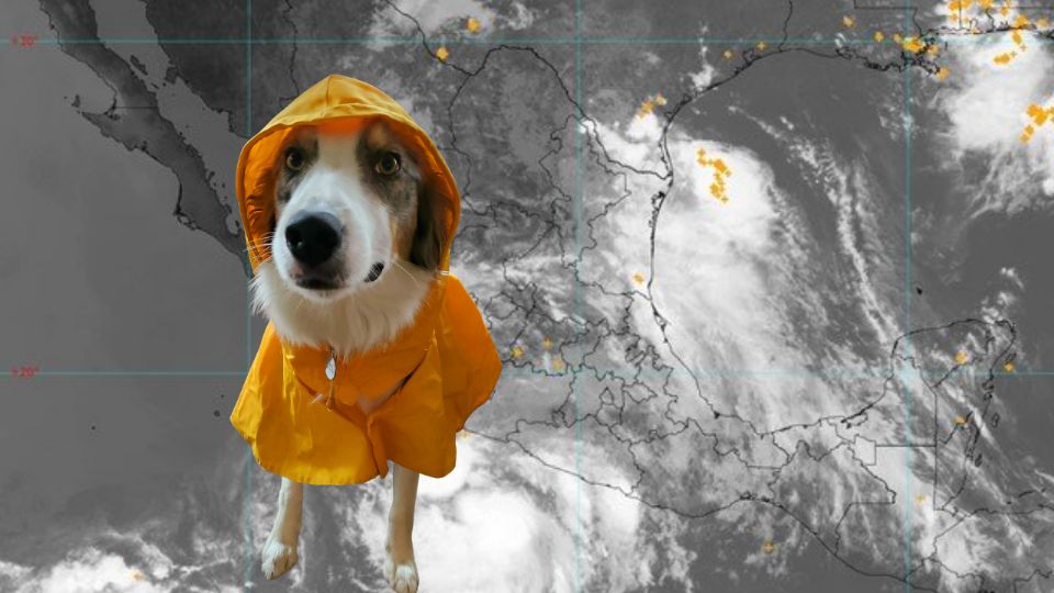 La nubosidad sobre el noreste del país, vista desde el satélite GOES-19, revela la intensidad de la humedad arrastrada por los remanentes de Barry.