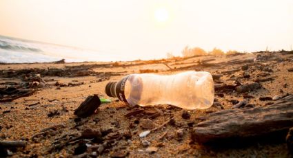 Buscan Semarnat, Marina y 17 estados eliminar plásticos de playas, costas y mares