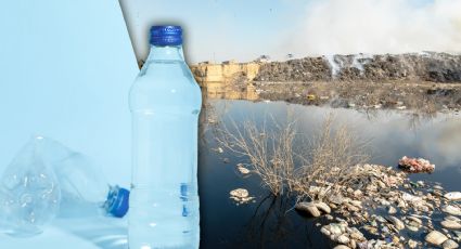 'Los gobiernos deben obligar a fabricantes a asumir su responsabilidad ambiental': Carlos Flores