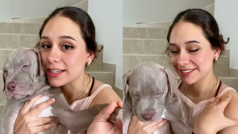 Pasajera se hace viral al mostrar que le entregaron un perro equivocado en su vuelo