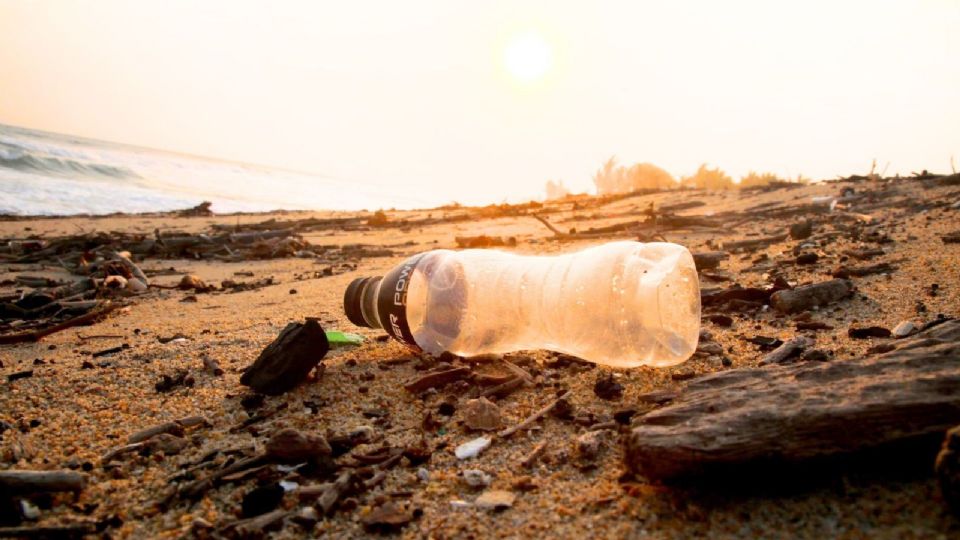 El banderazo de inicio de esta iniciativa se dio en Guerrero, Yucatán, Quintana Roo, Jalisco y Baja California.
