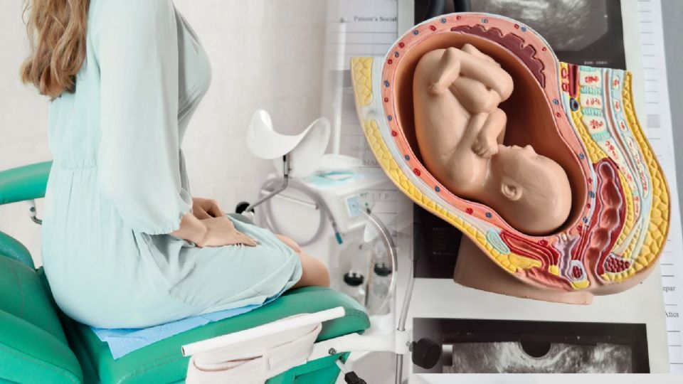 Manifestantes a favor y en contra del aborto se enfrentaron fuera del Congreso de Guanajuato durante la votación que rechazó su despenalización.