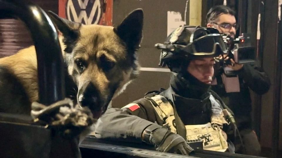 La carpeta de investigación se inició en la Coordinación territorial Cuauhtémoc Dos.