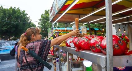 Microempresas dominan el panorama económico en la Península de Yucatán: Inegi