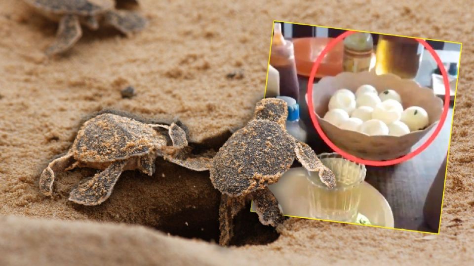 Hasta el momento, Agustín Elías Ramírez no ha emitido declaraciones públicas sobre lo ocurrido.