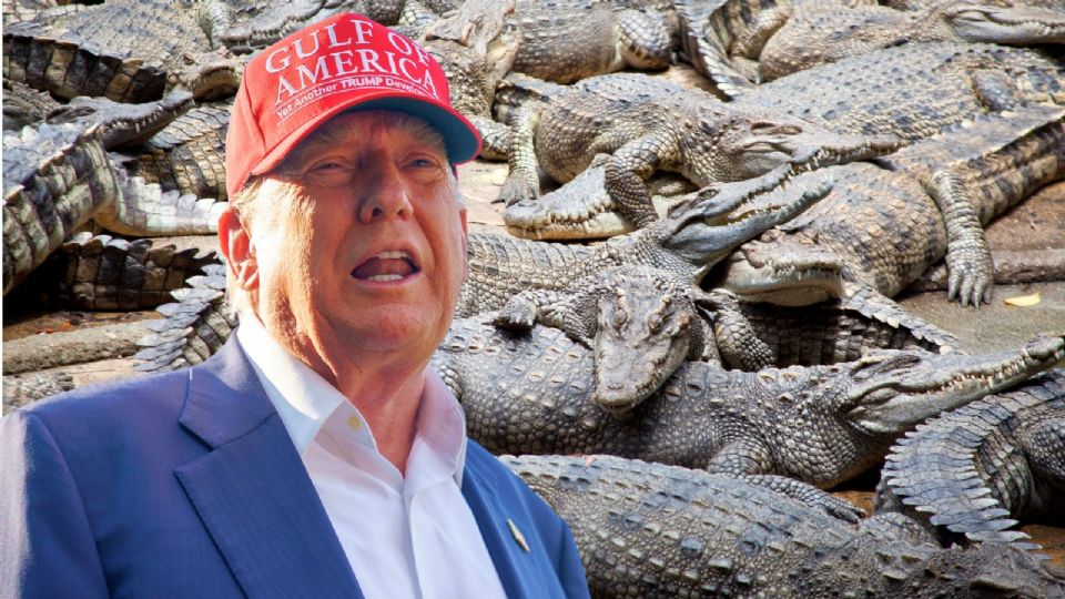 El centro tendrá capacidad para albergar hasta 5 mil migrantes, y comenzará operaciones este mismo martes.