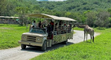Esto cuesta visitar Bioparque Estrella este verano en Monterrey
