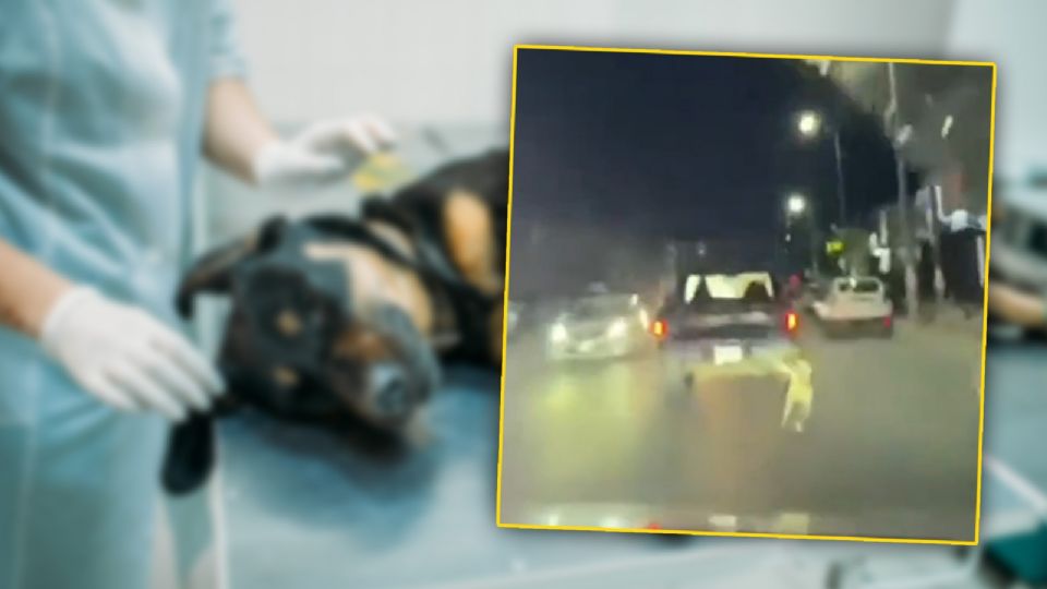 El hecho ocurrió la noche del domingo 6 de julio en la colonia Venustiano Carranza.