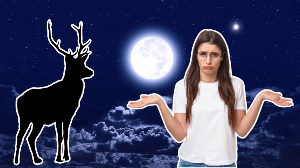 Así es como afectó a cada signo zodiacal la Luna de Ciervo
