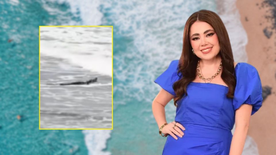 El avistamiento se suma a una serie de reportes recientes en diversas zonas del puerto.