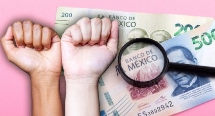 Solo un 30% de los recursos para igualdad de género en México son efectivos