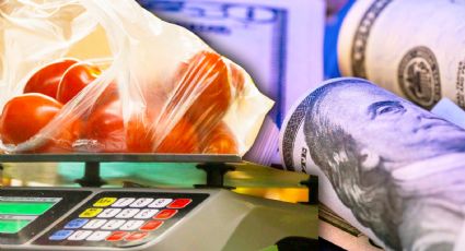 Nuevos aranceles de EU levantan cuestionamientos sobre el futuro del jitomate mexicano