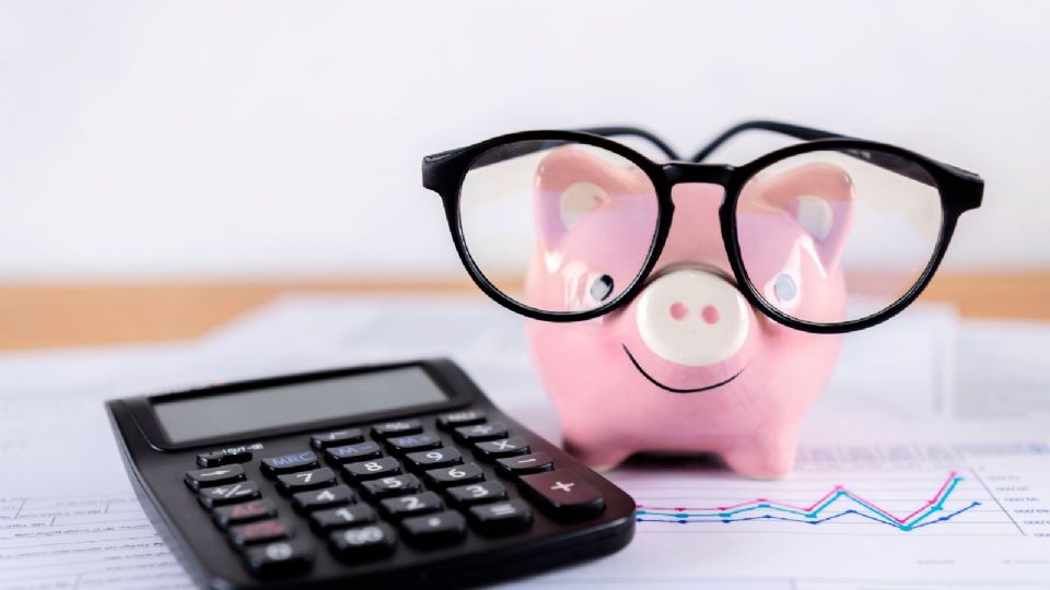 La Red por una Política Fiscal Feminista está conformada por 17 organizaciones de la sociedad civil y 2 personas a título independiente.