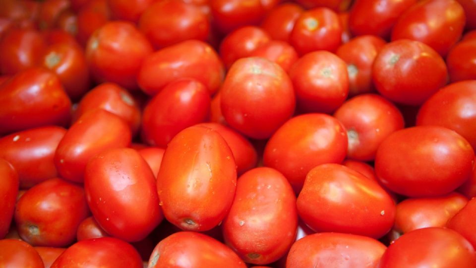 Las autoridades mexicanas aclararon que el terreno que ha ganado el tomate fresco mexicano en EE. UU. deriva de la calidad del producto.